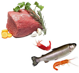 肉制品水產品烘干機